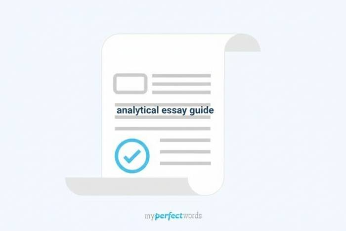 analytical essay guide