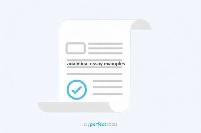 analytical essay example