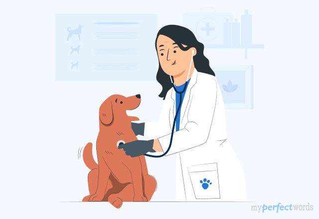 Top 10 Best Vet Schools In The US For 2025 | An Ultimate Guide! Image