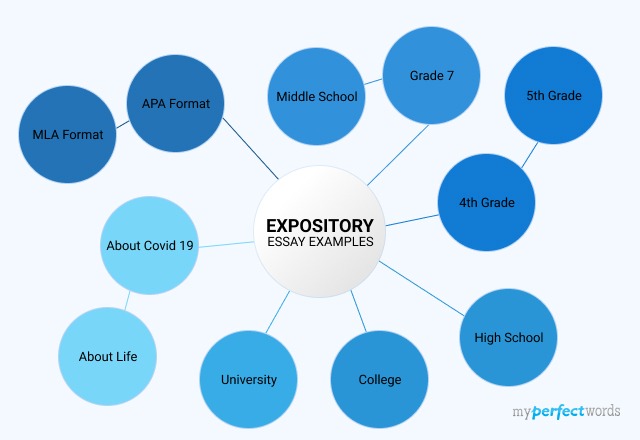 Expository Essay Examples For All