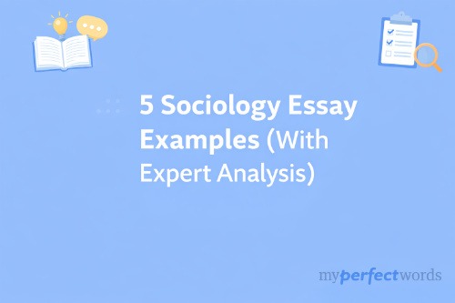 sociology essay examples